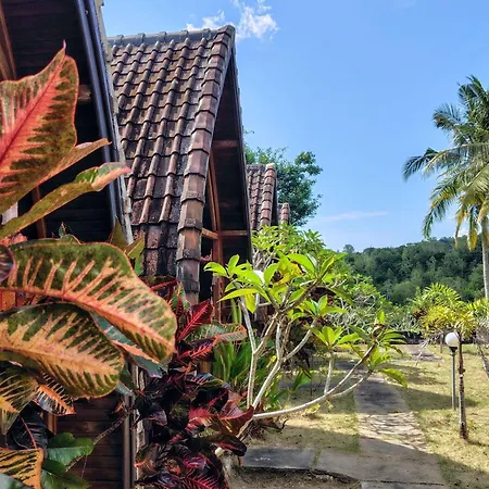 The Sweet Corn Bungalow